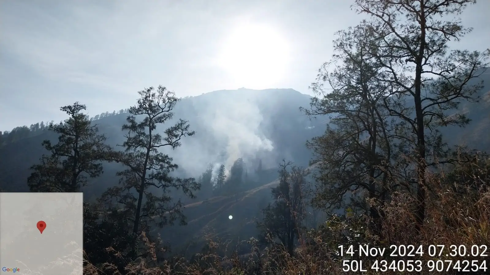 95 Persen Karhutla Kawasan Hutan BTNG Rinjani Berhasil Dipadamkan